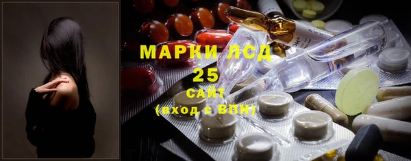 хмурый Аркадак