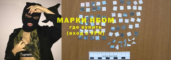 хмурый Аркадак
