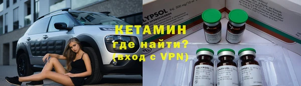 хмурый Аркадак