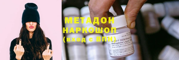 хмурый Аркадак