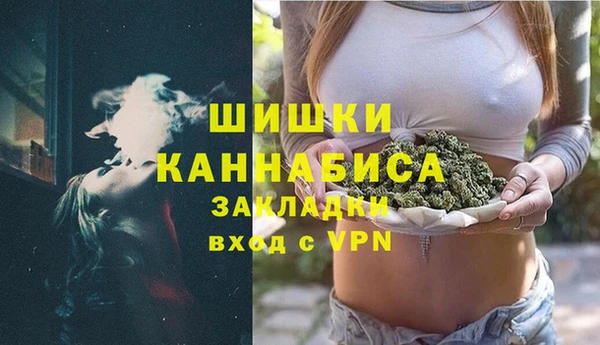 хмурый Аркадак