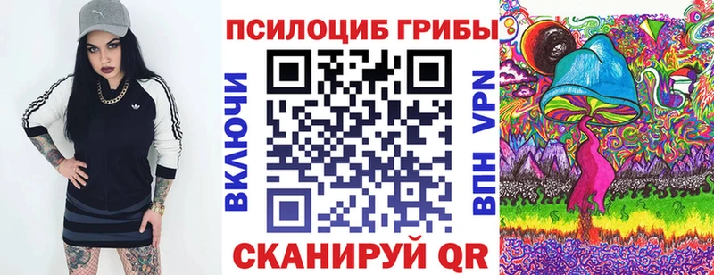 кракен ССЫЛКА  где купить наркоту  Баймак  Галлюциногенные грибы мухоморы 